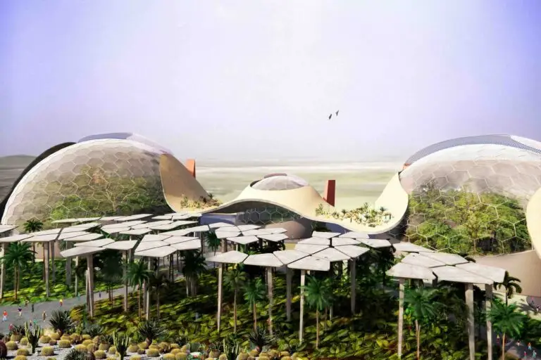 Rainforest - Qatar - Paradise