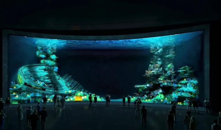 Sharks shipwreck - Desgin aquarium