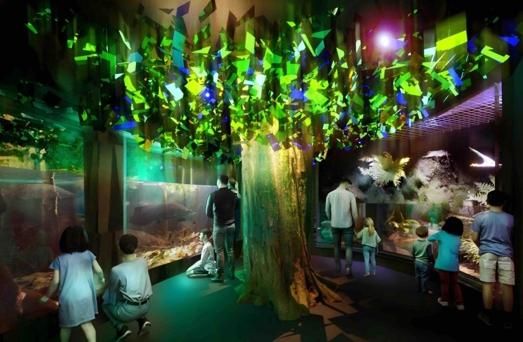 Freshwater Cave - Aqua Mall Aquarium at Morocco Mall