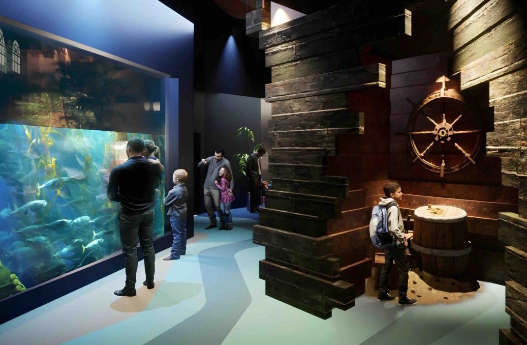 Wave Generator - Aqua Mall Aquarium at Morocco Mall