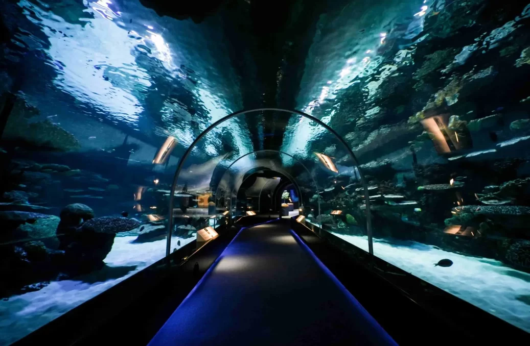 HAM Port access tunnel-min HAM Port access tunnel-min