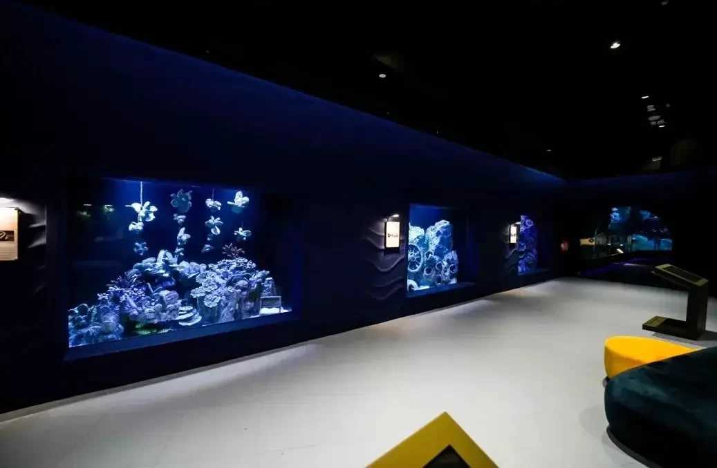 Hamad Port Aquarium Doha 1 Hamad Port Aquarium Doha 1