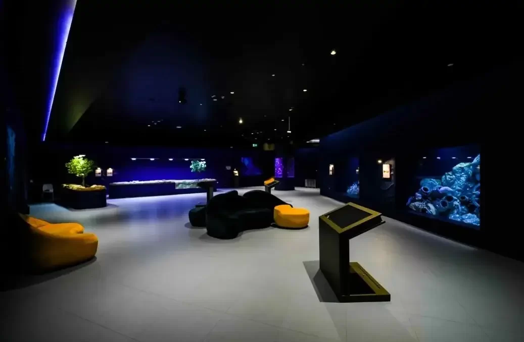 Hamad Port Aquarium Doha – 2 Hamad Port Aquarium Doha - 2