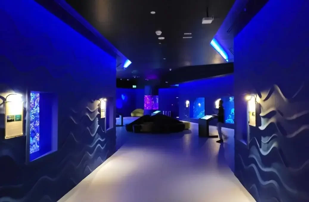 Hamad Port Aquarium Doha – 3 Hamad Port Aquarium Doha - 3