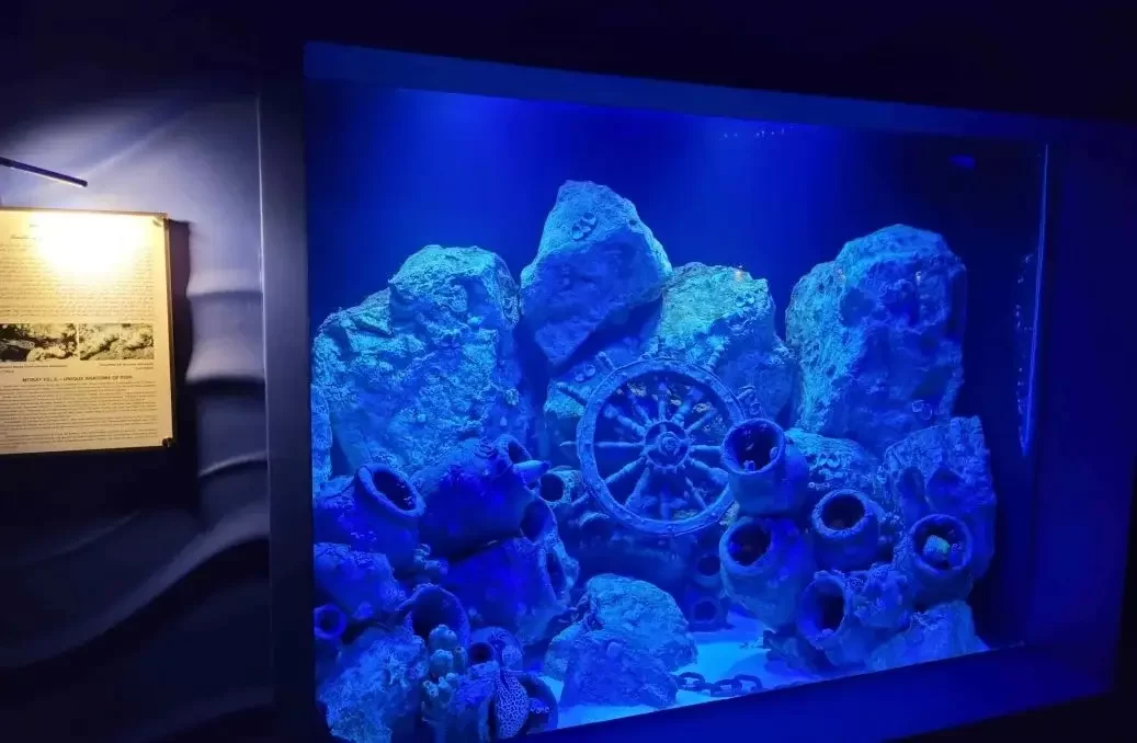 Hamad Port Aquarium Doha Hamad Port Aquarium Doha