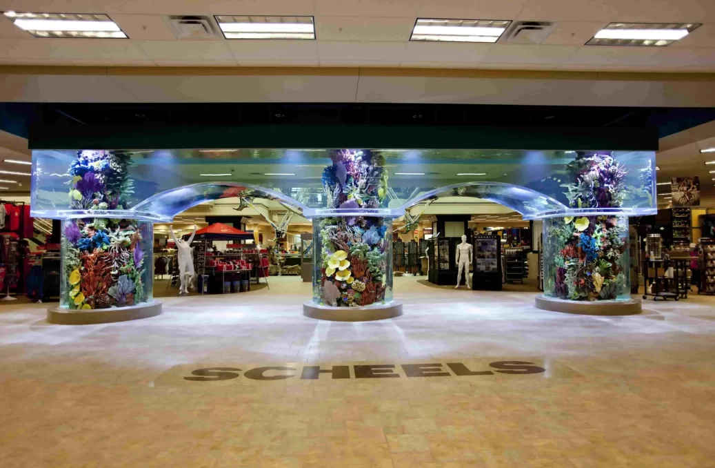 Scheels Entry Tank Scheels Entry Tank