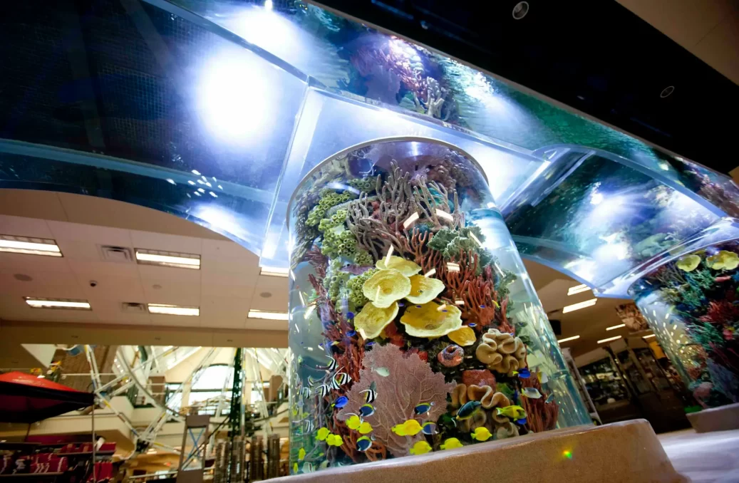 IMG_6015 Scheels sports aquarium