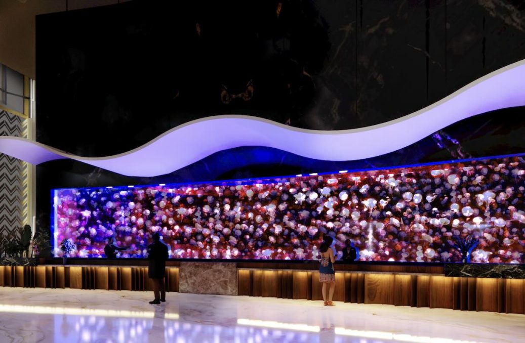 Jellyfish Canyon Lobby Tank – reception Jellyfish Canyon Lobby Tank - reception