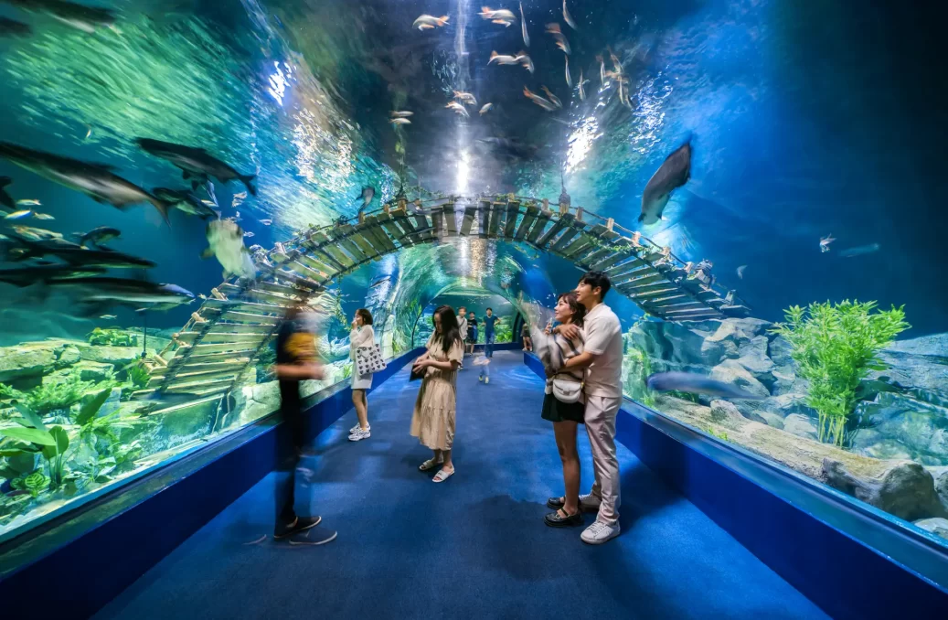 Public Aquarium – Hanoi Public Aquarium - Hanoi