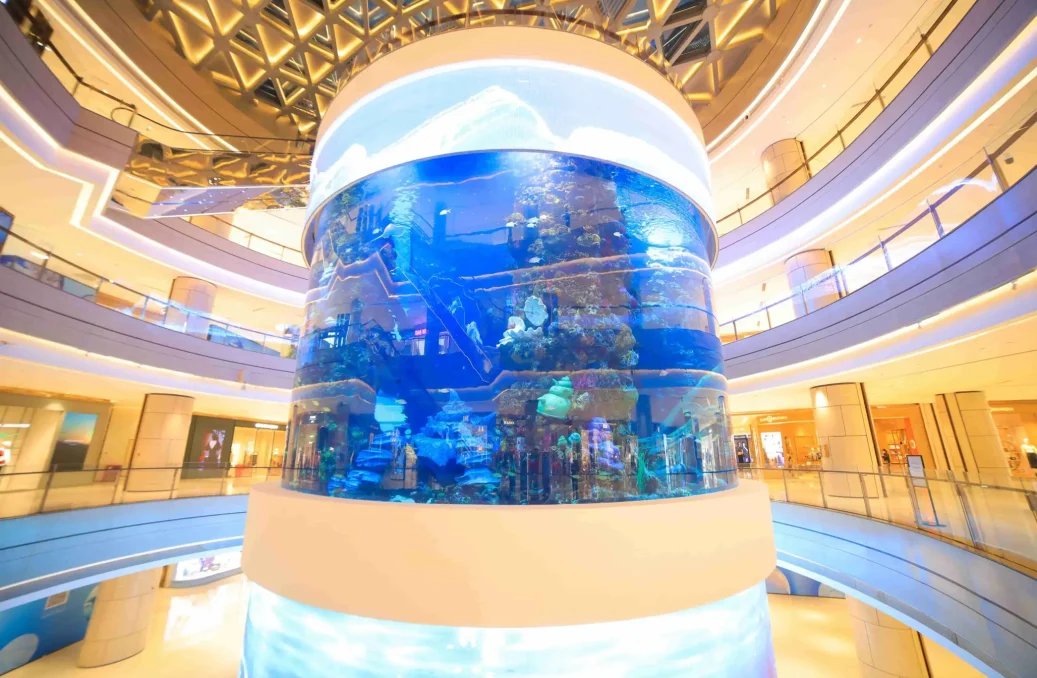 Sincere Sea Star Aquarium Sincere Sea Star Aquarium