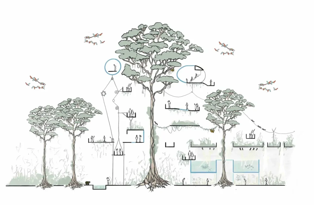 Rainforest – Forest Activity Sketch Rainforest - Forest Activity Sketch