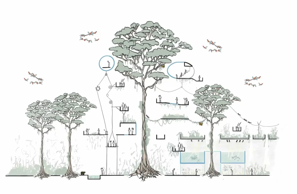 Rainforest – Forest Activity Sketch Rainforest - Forest Activity Sketch