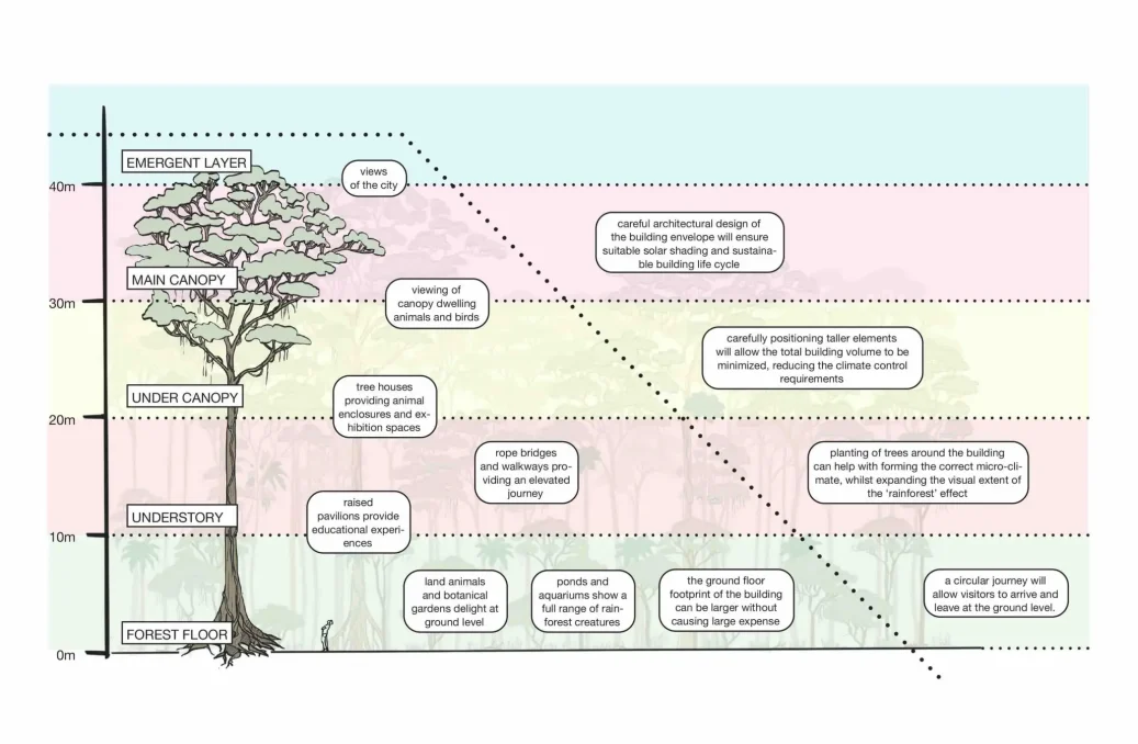Rainforest Section Layers Paradise Rainforest Section Layers Paradise