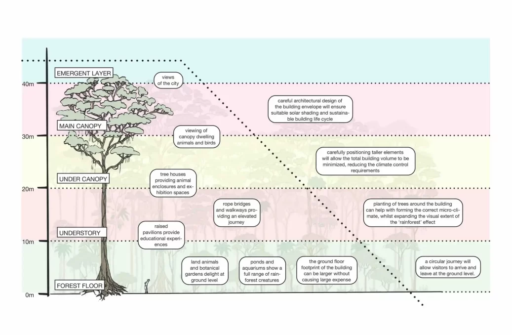 Rainforest Section Layers Paradise Rainforest Section Layers Paradise
