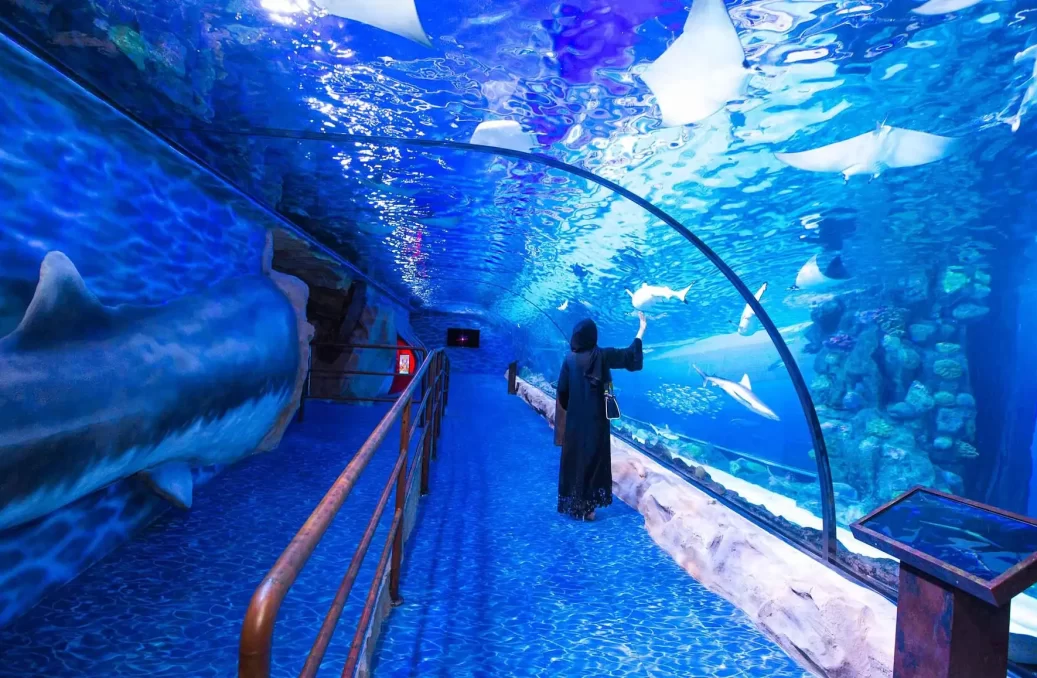 SW 03 Avoiding Water Leaks: The Biggest Concern for Large Aquariums