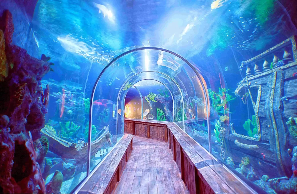 Shark Tunnel-min Shark Tunnel-min