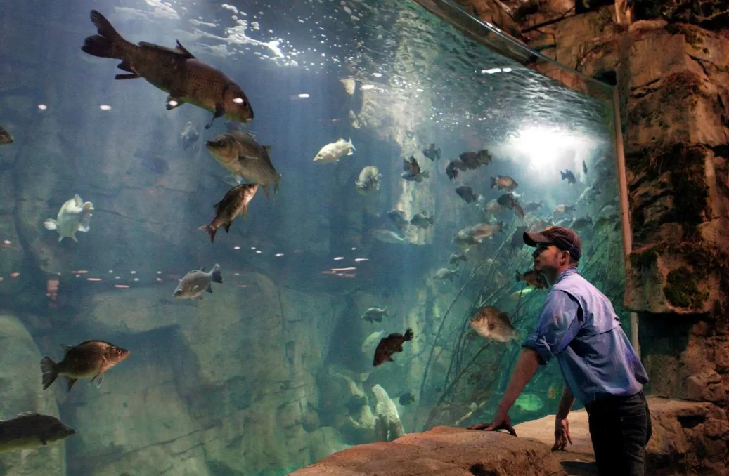 bass pro shops 7