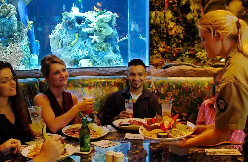 food-at-rainforest-cafe-niagara-falls food-at-rainforest-cafe-niagara-falls