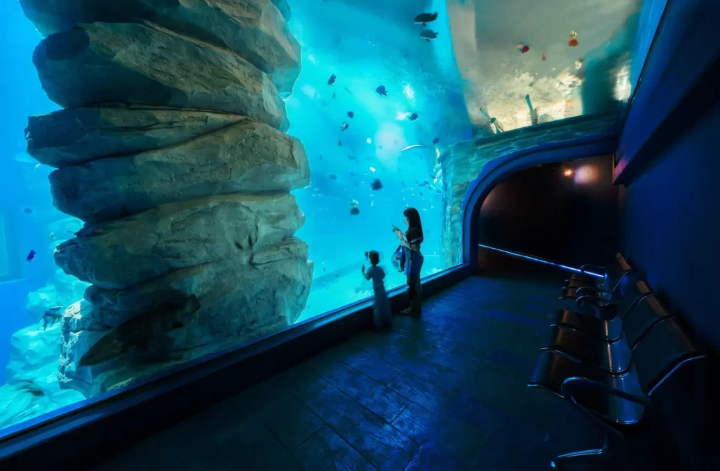 hanoi public aquarium – Lotte World – 2 hanoi public aquarium - Lotte World - 2