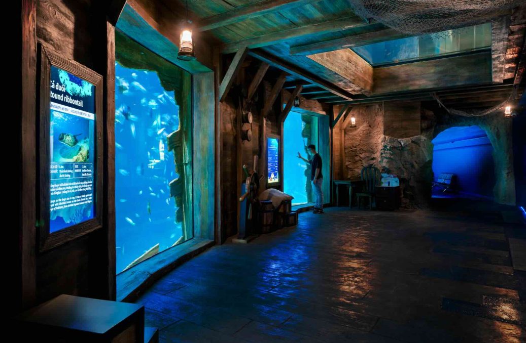 hanoi public aquarium – Lotte World 4 hanoi public aquarium - Lotte World 4