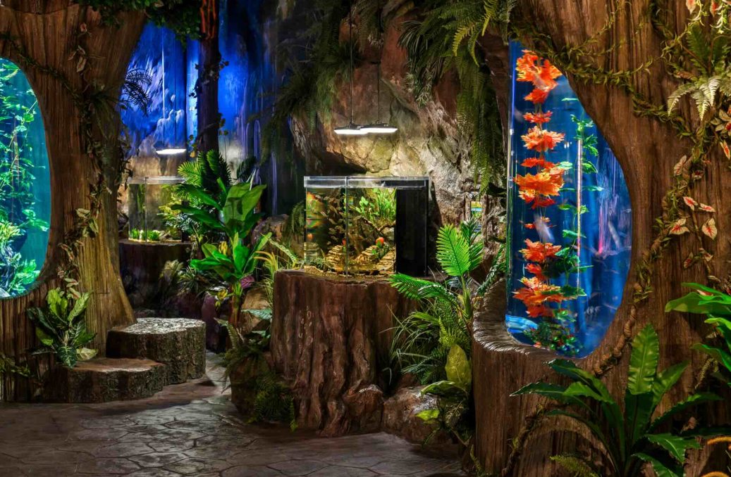hanoi public aquarium – Lotte World – 4 hanoi public aquarium - Lotte World - 4