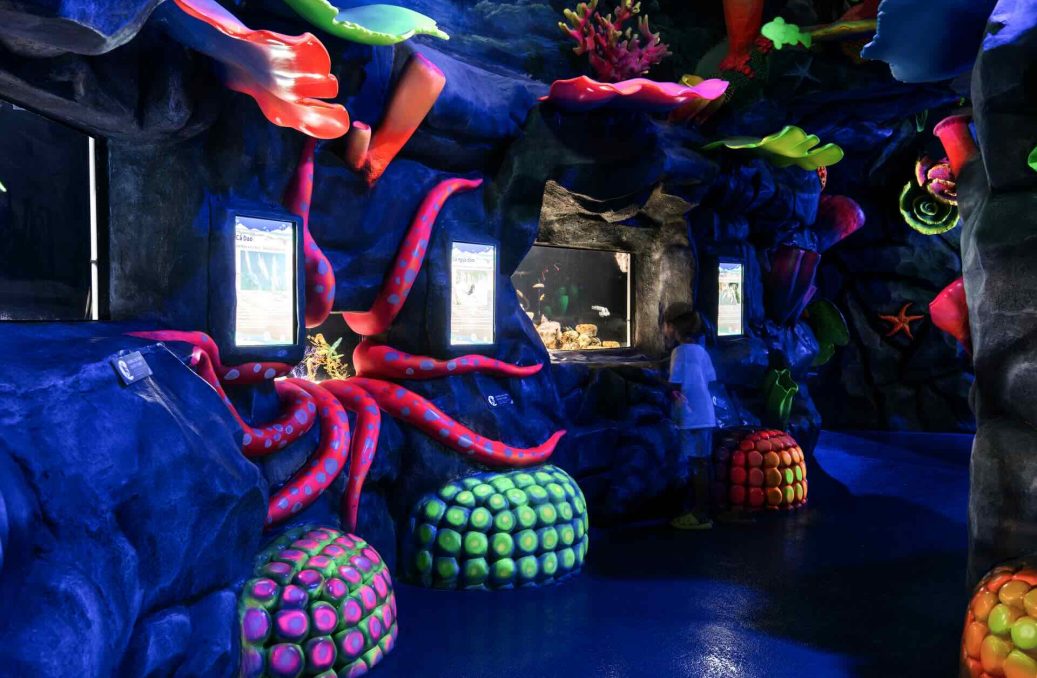 hanoi public aquarium – Lotte World – 6 hanoi public aquarium - Lotte World - 6