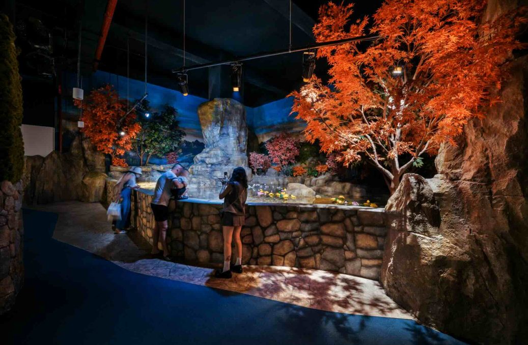 hanoi public aquarium – Lotte World – 2 hanoi public aquarium - Lotte World - 2